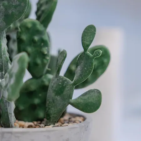 Evasion Santorin - Jacuzzi & Relax